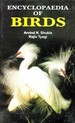 Encyclopaedia of Birds Volume-2