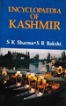 Encyclopaedia of Kashmir Volume-2 (Kashmir Art, Architecture and Tourism)