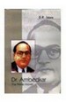 Dr. Ambedkar: The Prime Mover