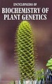 Encyclopaedia of Biochemistry of Plant Genetics Volume II