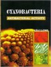 Cyanobacteria Antibacterial Activity